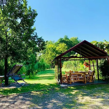 янтарная форель