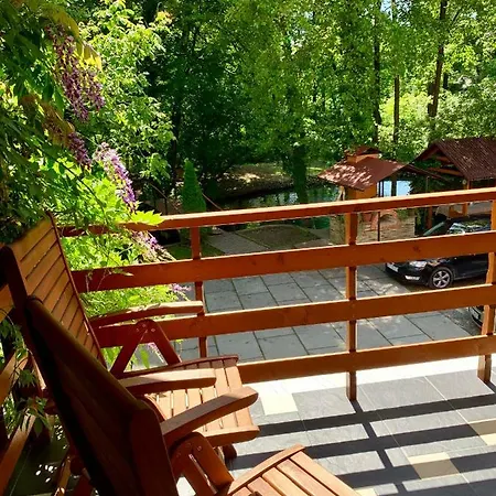 янтарная форель Мини-отель Bushtyno