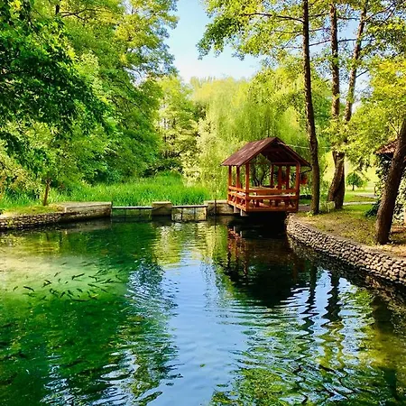 янтарная форель Мини-отель