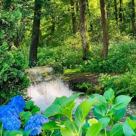 янтарная форель Мини-отель Bushtyno