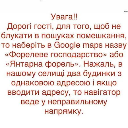 янтарная форель Bushtyno